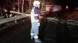 silnice strom Gg6oBliW0AAEcPP